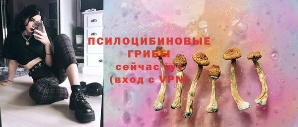 метадон Армянск